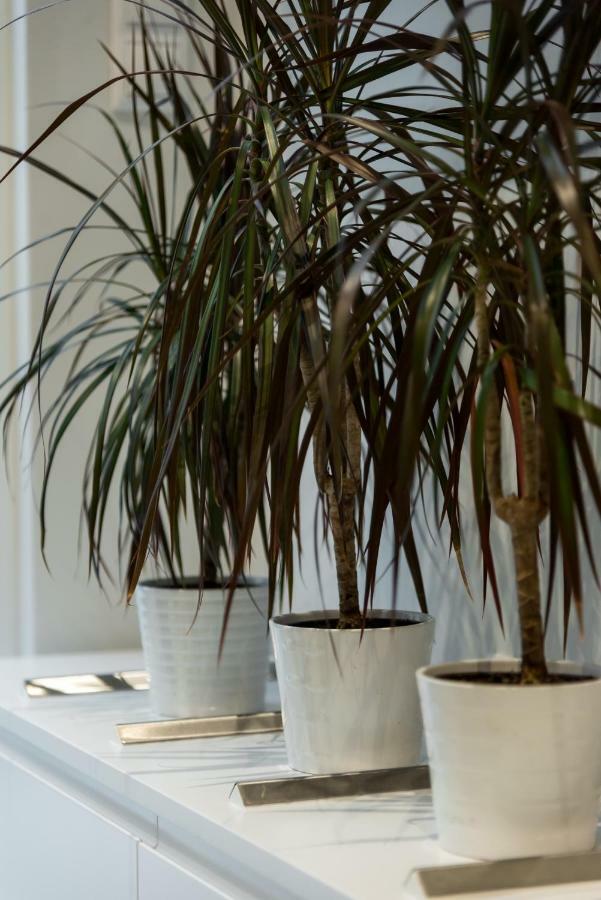 Central Cozy Studio With A Secret Garden أثينا المظهر الخارجي الصورة